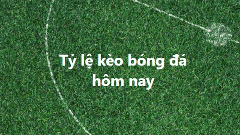 Hướng dẫn cách xem tỷ lệ kèo tại nhà cái uy tín
